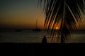 Golden Zanzibar beach sunset