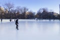 People enjoying ice skating rink