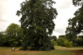 People enjoying The Kew Gradens in London, England Royalty Free Stock Photo
