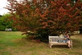 People enjoying The Kew Gradens in London, England Royalty Free Stock Photo