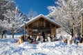 People enjoying sunbathing in snowy winter scenery outdoor wooden restaurant`s terrace