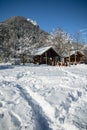 People enjoying sunbathing in snowy winter scenery outdoor wooden restaurant`s terrace