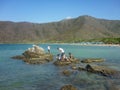 People enjoying a sunnny day at Bahia Concha beach Royalty Free Stock Photo