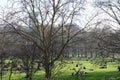 People sitting in Green Park in London at spring time,