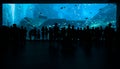 People exiting in front of big aquarium marine tank.