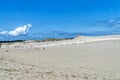 People explore in Lacka dune in Slowinski National Park in Poland. Traveling dune in sunny summer day. Sandy beach and blue sky.