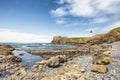 People explore tidepools