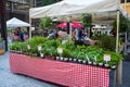 People explore a variety of items at the Daley Plaza farmers market in Chicago Loop