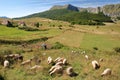 People farming in Gradina, a summer village located in the Bjelasnica mountains and close to Umoljani village Royalty Free Stock Photo