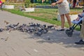 People feed the birds in the Park