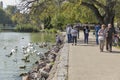 People feed wild birds on lake shore in Keszthely, Hungary.