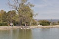 People feed wild birds on lake shore in Keszthely, Hungary.