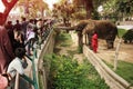 People are feeding an elephant SUZI