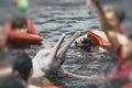 People feeding the famous Pink Dolphin Boto Rosa in Amazon, Br Royalty Free Stock Photo