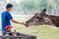 People feeding giraffe