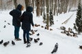 People feeding group of ducks in winter park. Animal theme Royalty Free Stock Photo