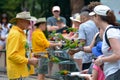 People feeding Native Australian Rainbow Lorikeet in Queensland Australia Royalty Free Stock Photo