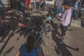 People feeding pidgeons in Old San Juan Royalty Free Stock Photo