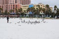 People feeding a seagull flock on the beach