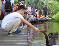 People are feeding swans in park of Chengdu, China Royalty Free Stock Photo