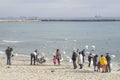People feeding swans on the seashore Royalty Free Stock Photo