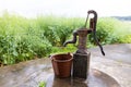 People filling bucket with water from Hand pump in hand-dig well in shallow aquifers in villages in countryside in China. Rapeseed Royalty Free Stock Photo