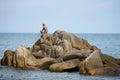 People fishing on a rocky beach