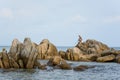 People fishing on a rocky beach