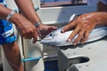 People fix tuna fish as a bait for marlin fishing, at sea near Saint-Denis, Reunion island.