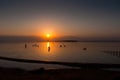 People floating at the Dead sea at dawn, Israel Royalty Free Stock Photo