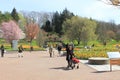 People, flowers, trees, spring, sunny day, Gothenburg botanical garden, Sweden