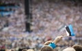 People at the fold song festival in Pirita, Tallinn Royalty Free Stock Photo