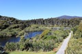 Footpath by Ship Creek, South Island, New Zealand