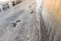 People footprints in melting snow during the thaw at winter day, building with columns in reflection in puddle Royalty Free Stock Photo