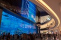 People in front Dubai aquarium in Dubai mall, UAE Royalty Free Stock Photo