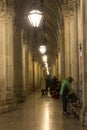 People in front of the Vienna town hall at night during christmas markets