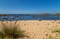 People in Galicia beach