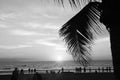 people gathered.. black and white Palm tree branch, mexico, orange glow horizon, sunset over beach Royalty Free Stock Photo