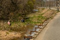 People gathering herbs in creek