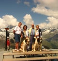 People getting their picture taken with St. Bernar