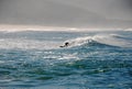 Surf time on the beach Royalty Free Stock Photo