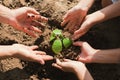 people hand group help plant trees to help reduce global