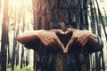 people hand hearts shape on tree