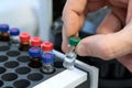 People hand holding a test tube vial sets for analysis in the gas liquid chromatograph. Laboratory assistant inserting laboratory