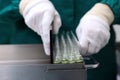 People hand holding a test tube vial sets for analysis in the gas liquid chromatograph. Laboratory assistant inserting laboratory