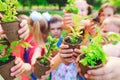 A People Hands Cupping Plant Nurture Environmental.