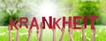 People Hands Holding Word Krankheit Means Sickness, Grass Meadow Royalty Free Stock Photo