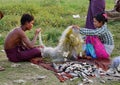 People harvesting fish in Mandalay, Myanmar