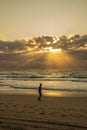 People have fun at brazilian sunrise beach Royalty Free Stock Photo