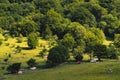 People have a picnic under the tree